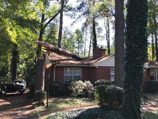 Tree Damage, Emergency Board-up Services, Richmond, VA