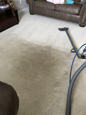 Let's clean your carpet free estimate  281 610 7162