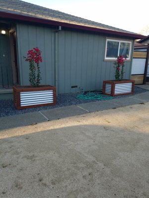 Flower beds