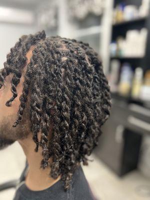 2 strand twists