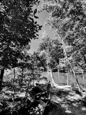 Lake Trail in B&W