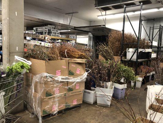 Koehler & Dramm Wholesale Florist