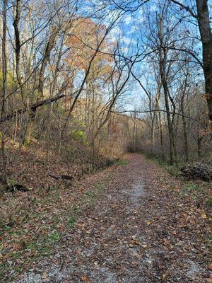 Cove Spring Trail, about 1mile round trip.