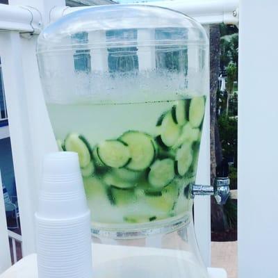 Organic infused water available every class.