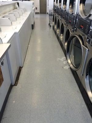 Shasta Laundry