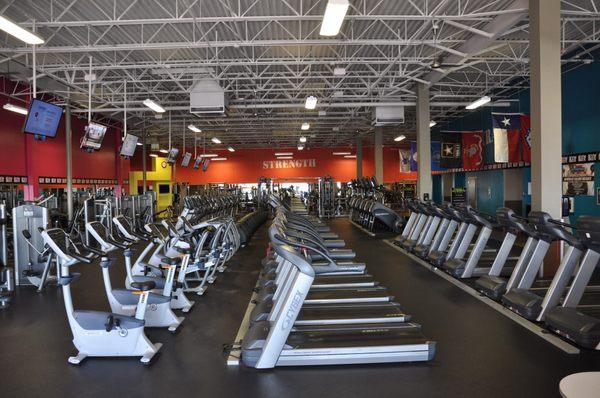 Cardio Equipment at GYMBOX.