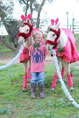 Twins at Xmas Before Harper got sick.