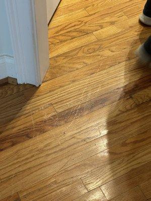 Hardwood flooring damage