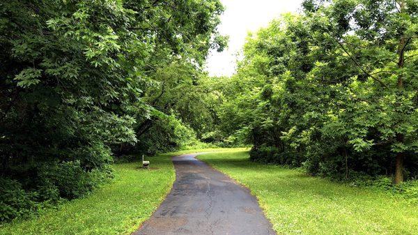 A Portion of Indian Creek Trail