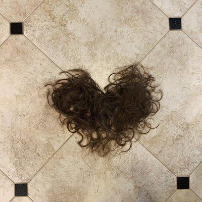 Locks of love3