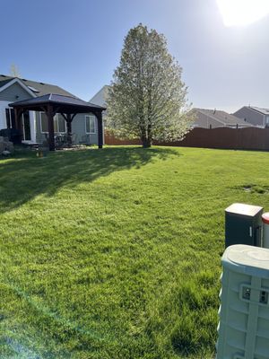 Another lawn we did recently