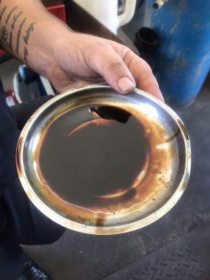 This is the oil from my engine....and sediment that never should be there. The oil tank was completely empty.