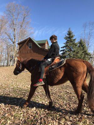 Larry's Riding Stables