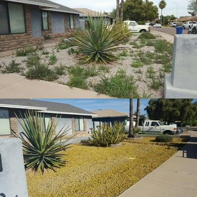 This clean up was done with pre-emergent chemical a preventative weed control that kills the weed seed before it germinates.