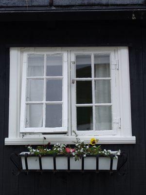 Typical window decoration in Faroes. Temperatures rarely surpass 11 Celcius