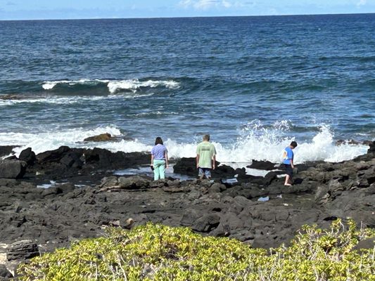 Looking for crabs