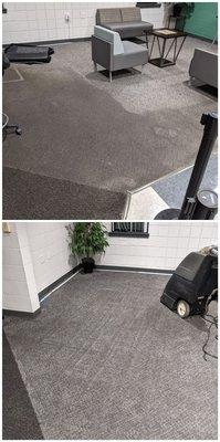 before and after photos of  carpet cleaning