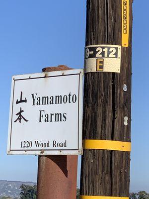 Yamamoto Farms