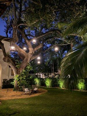 Miami Landscape Lighting