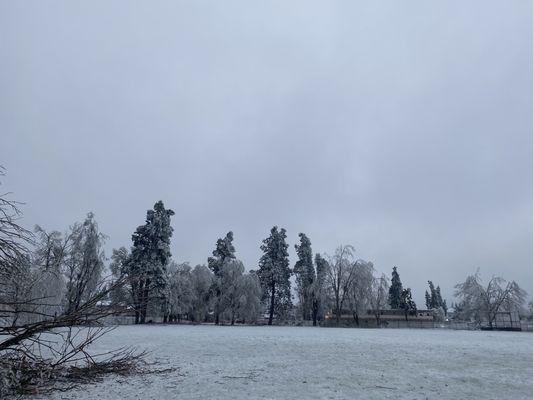 1/16/24 winter ice storm