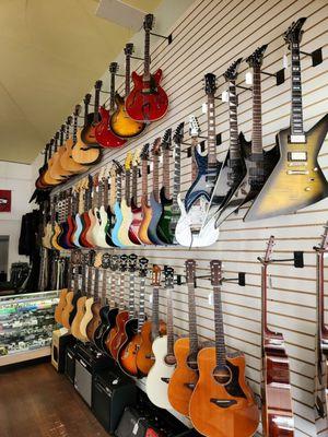 Tommy's Guitar Shop