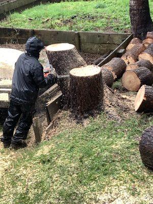 Finished up by cutting the stump down low