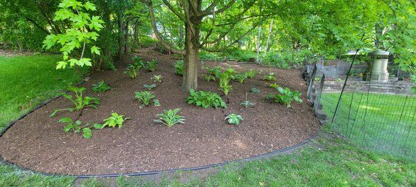 Some brown mulch and plant distribution can reduce your stress about yard maintenance.