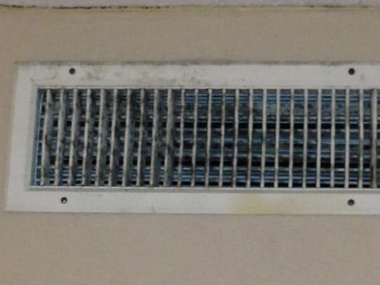 Black mold on the vents