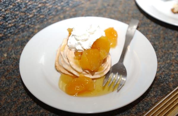 Apricot Pavlova