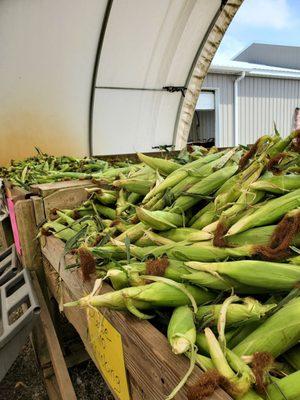 Souder Farms Sweet Corn