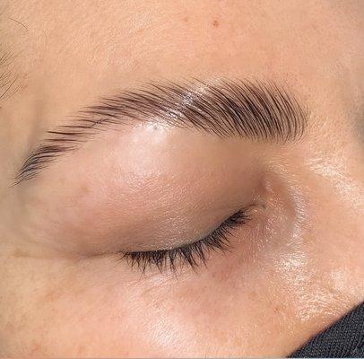 Eyebrow lamination