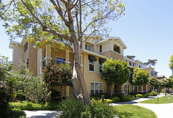 De Tolosa Ranch Apartments