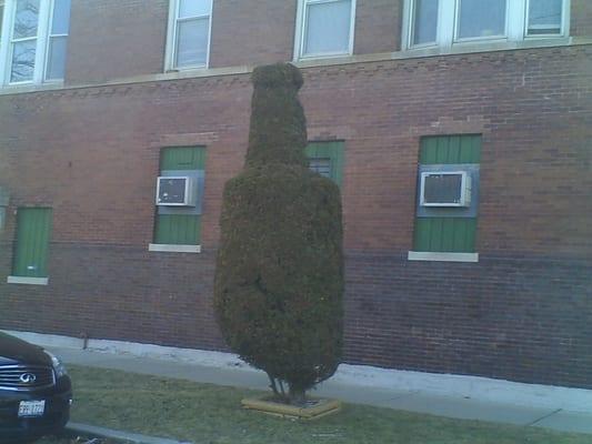 The Levee Beer tree....wont find another in the city.