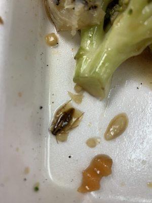 Roach in my food!