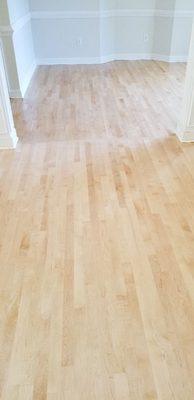 Maple Solid Hardwood Floor