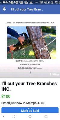 The tree service is the cheapest on the town