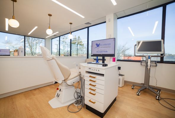 Bluebird Orthodontics