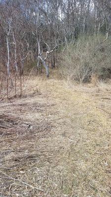 Parts of the trail are grassy meadow, please watch for ticks if it gets too tall...