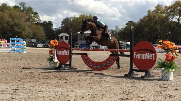 Competition at HITS Ocala 2015