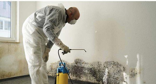 One of our guys doing mold remediation for a customer