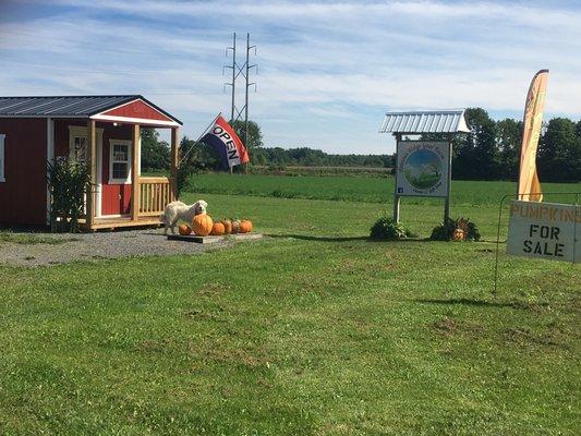 Farm market with pumpkins in the fall.