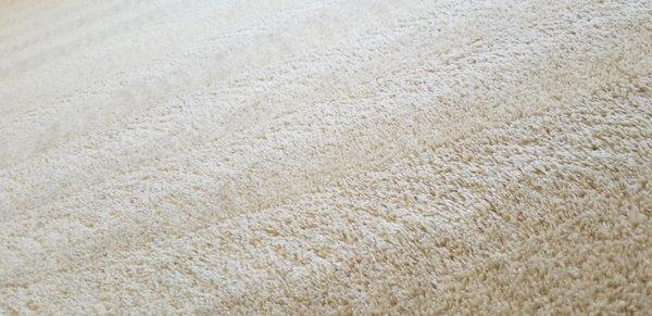 Fresh and clean carpets make for a healthier home!