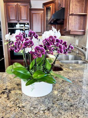 Melissa Orchid & Florist