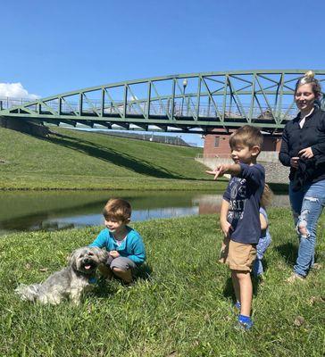 Apollo was making new friends like every 5 feet.