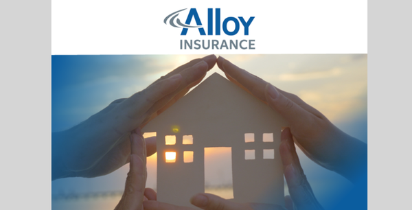 Alloy Insurance