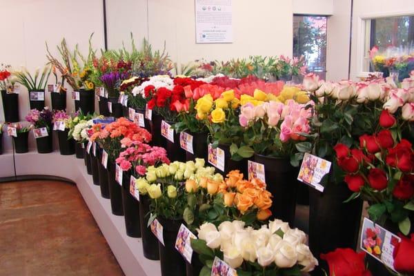 Want a single rose or long stem roses? We have a vast selection!