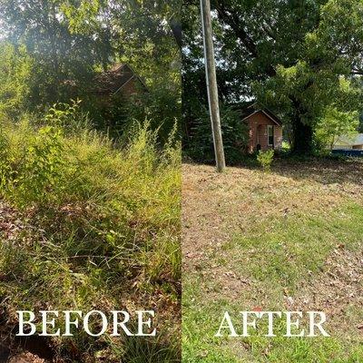 Deep cleaning of backyard, small trees, bushes, and plants cut/removed. Lawn was mowed and treated for weeds.