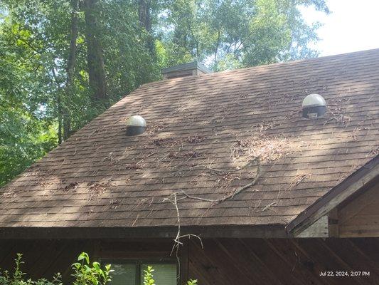 Roof cleaning before and after. Blue Ocean Softwash LLC.