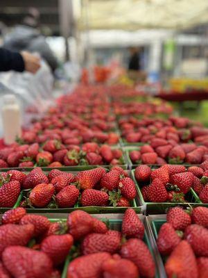 Kaiser Permanente San Jose Farmers' Market