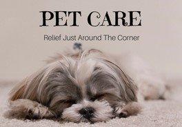 Pet Care